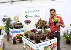Peter Rijssen of Plantipp / Concept Plants presenting Chick Charm. “A plant for the students as they do not need any care, no water and are disease resistant.”